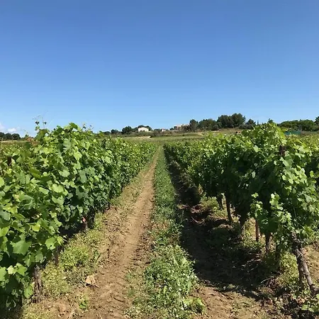 Bed & Breakfast Domaine De Peilhan Roujan