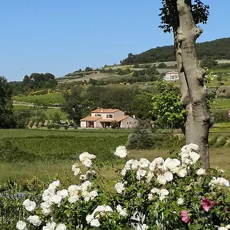 Domaine De Peilhan Bed & Breakfast Roujan