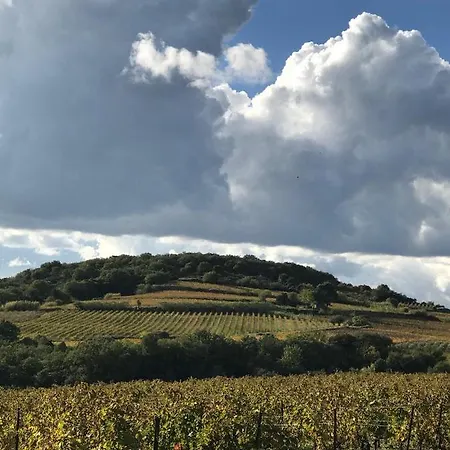 Domaine De Peilhan *