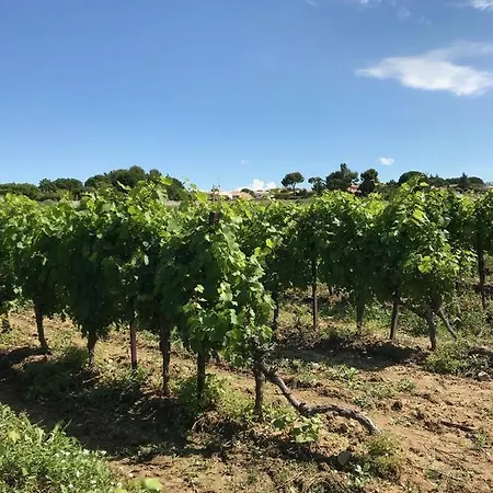 Domaine De Peilhan