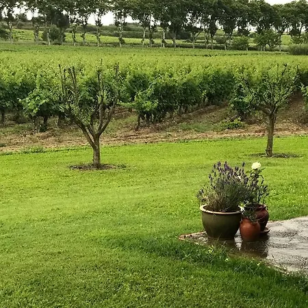 Domaine De Peilhan Bed & Breakfast *