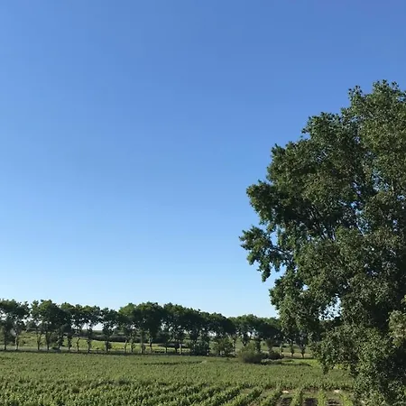 Nocleg ze śniadaniem Domaine De Peilhan Roujan