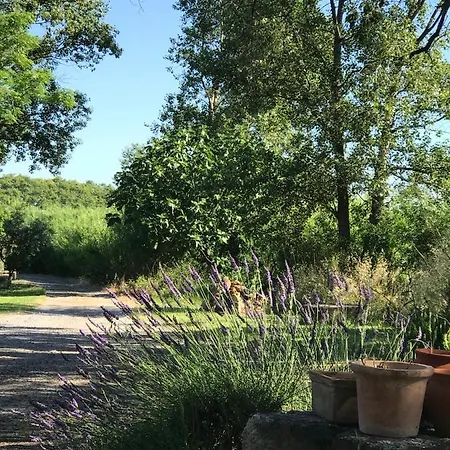 Domaine De Peilhan Bed & Breakfast Roujan