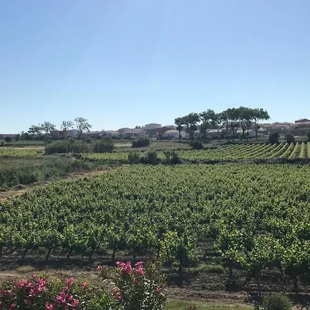 Bed & Breakfast Domaine De Peilhan