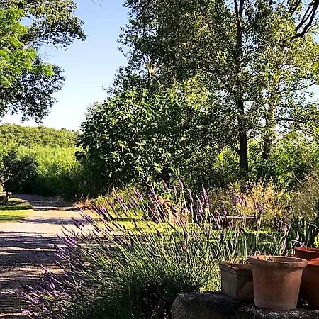 Domaine De Peilhan 3* Roujan