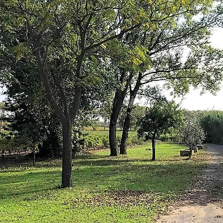 فندق مبيت وإفطار Domaine De Peilhan 3*