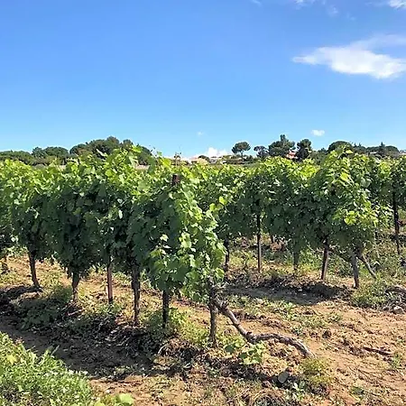Domaine De Peilhan Roujan