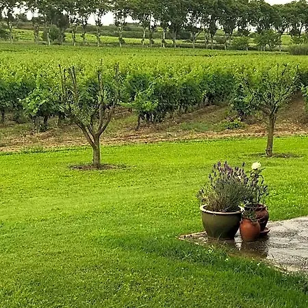 Domaine De Peilhan