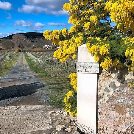 Domaine De Peilhan