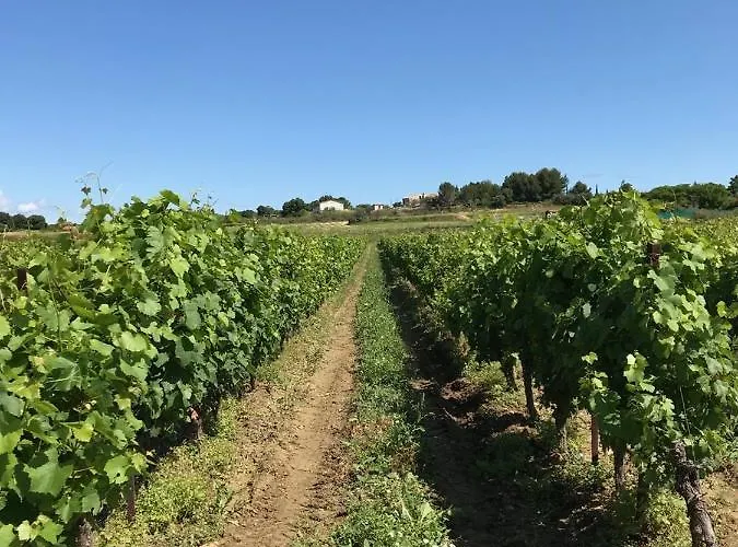 Nocleg ze śniadaniem Domaine De Peilhan Roujan