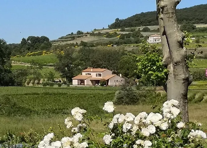 Domaine De Peilhan Nocleg ze śniadaniem Roujan