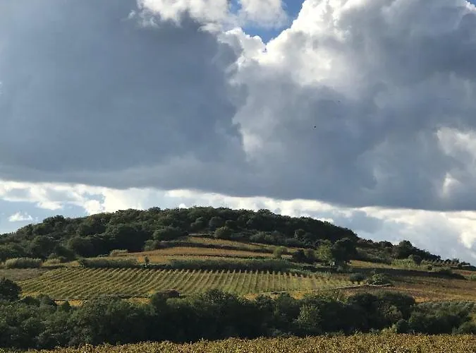 Domaine De Peilhan 3*