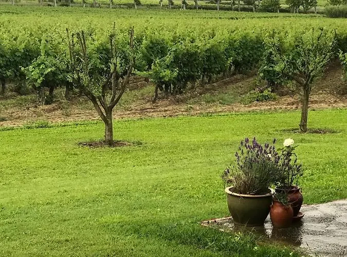 Domaine De Peilhan Nocleg ze śniadaniem 3*