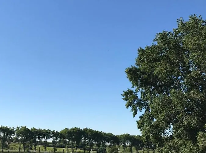 Nocleg ze śniadaniem Domaine De Peilhan Roujan